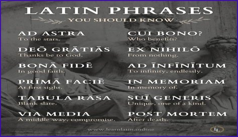 A Profile Of A Latin Beauty