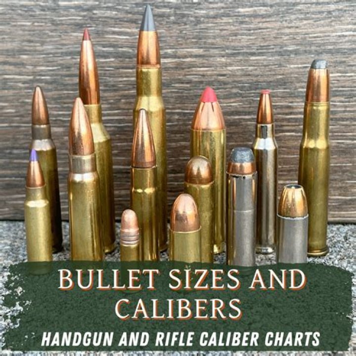 Are there any issues with the Bullett Premier 30 RIPR?