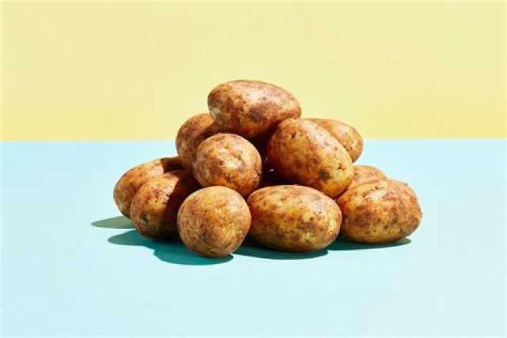 Can labs eat raw potatoes?