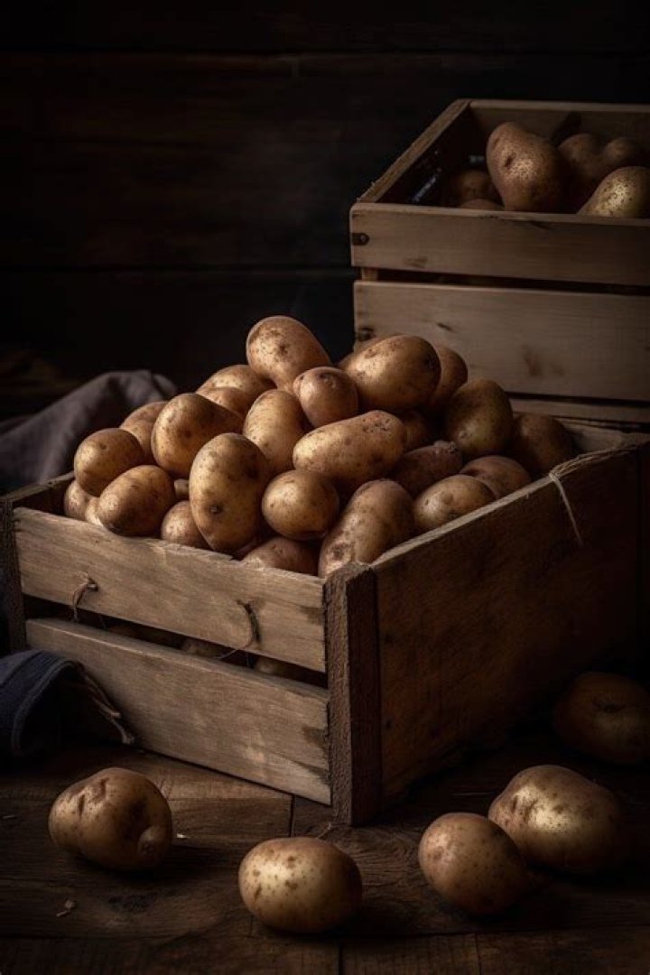 Can potatoes be stored in the refrigerator?