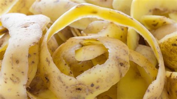 Can tortoises eat potato peels?