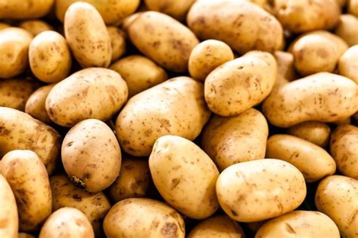 Does Ireland produce a lot of potatoes?