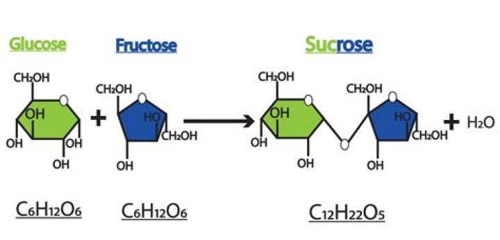 How much glucose does a potato have?