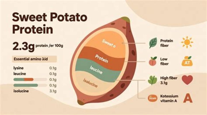 How much protein does a cooked potato have?