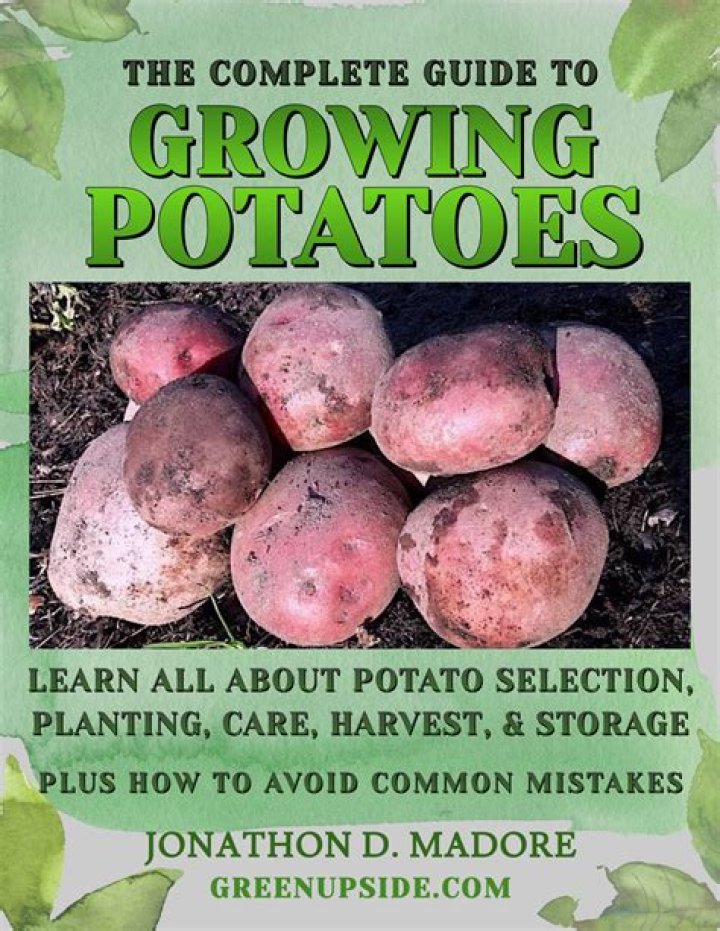 How should a potato feel?