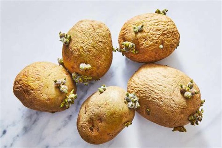 Is it safe to eat potatoes with eyes?
