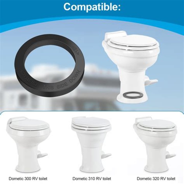 Is there a Dometic 310 toilet in an RV?