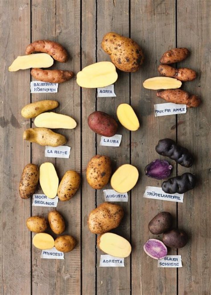 Is there a way to count all the potatoes?