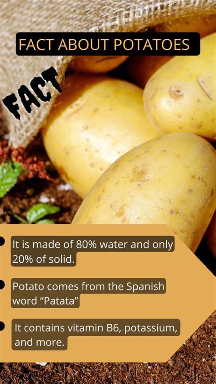 What are 3 interesting facts about potatoes?