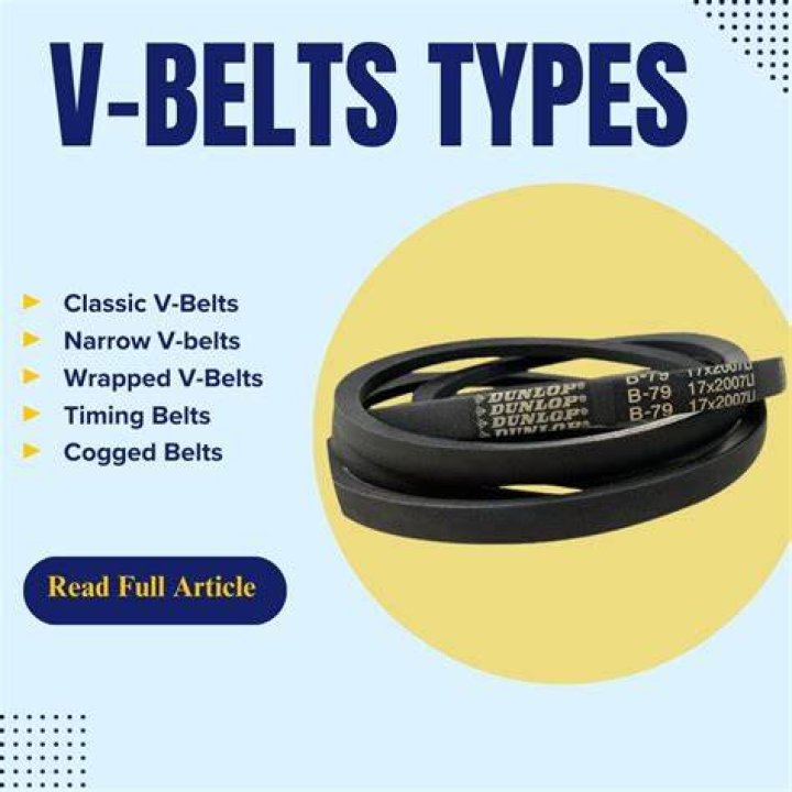 What are 3 types of drive belts?