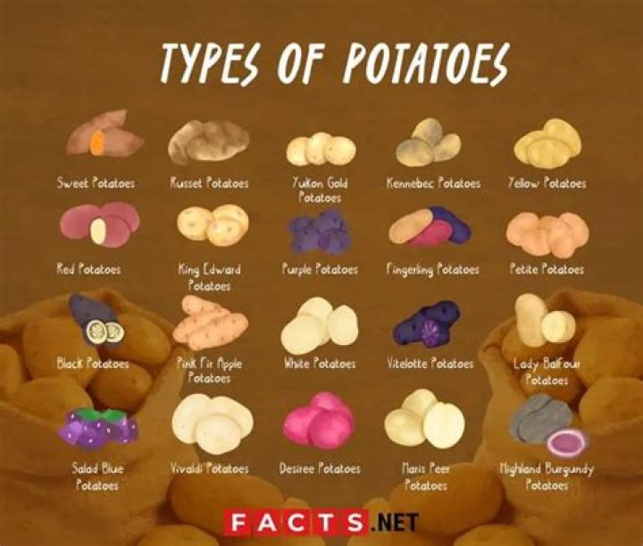 What are potatoes made of?
