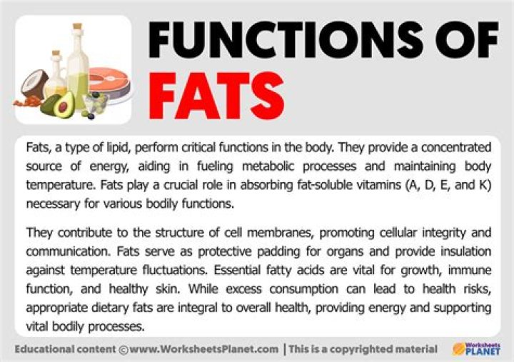 What are the functions of fats and oil?