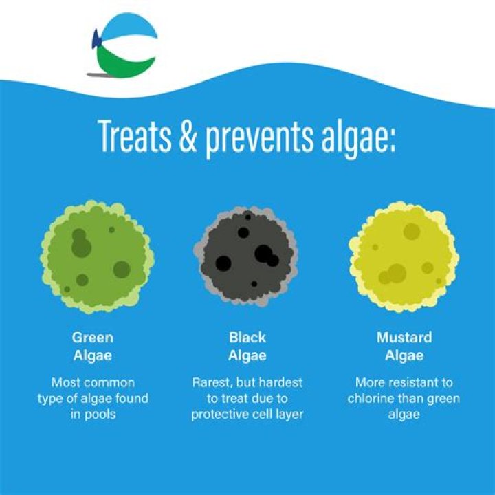 What chemicals kill mustard algae?