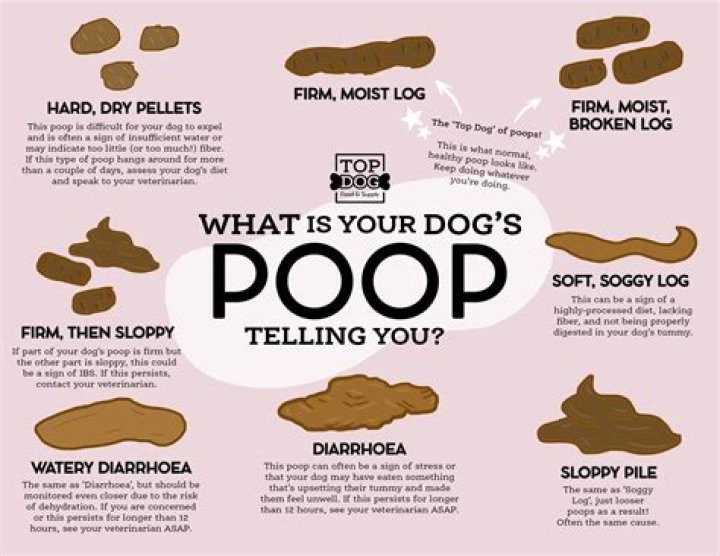 What does it mean when your POOP is stuck halfway out?