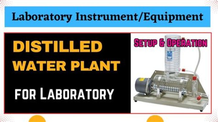 What happens to potato strip in distilled water?