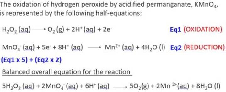 What happens when hydrogen peroxide reacts with a potato?