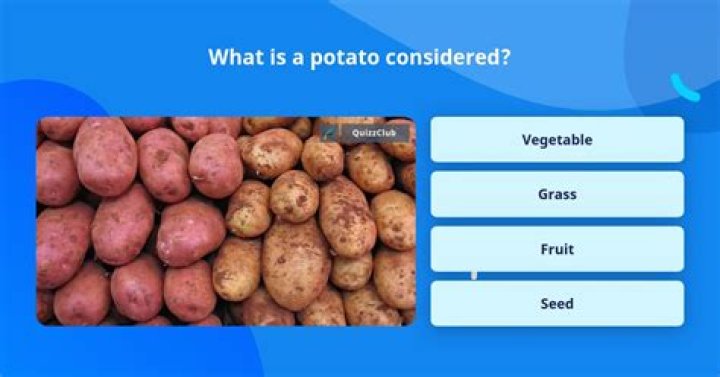What is a potato considered?