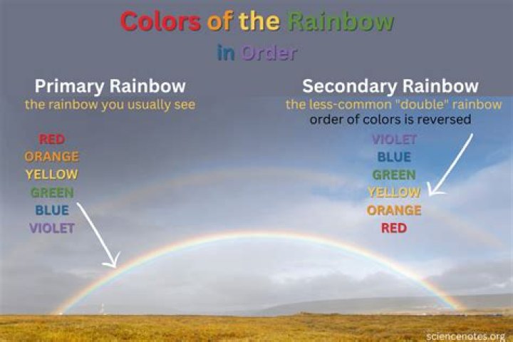 What is the Colour of potato outside?