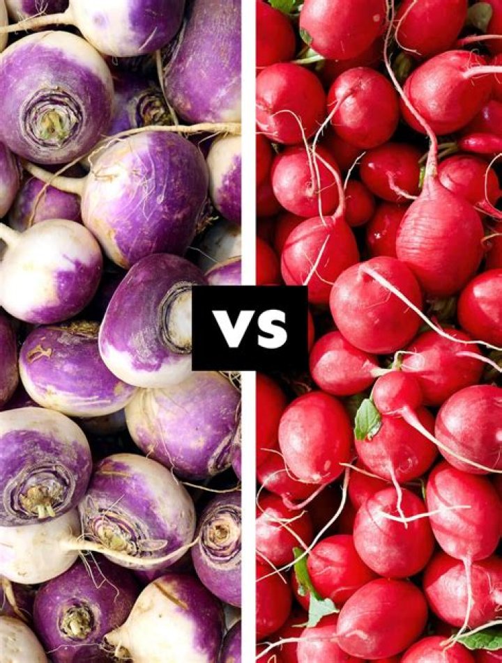 What is the difference between radish and potato?