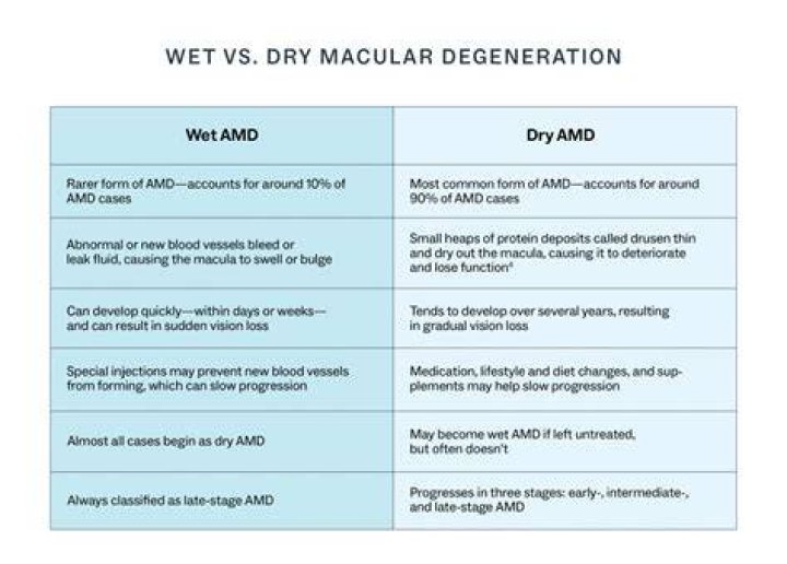 What is the difference between wet and dry silicone spray?