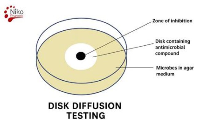 What is the purpose of disk diffusion test?