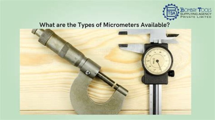 What is the size of algae in micrometers?