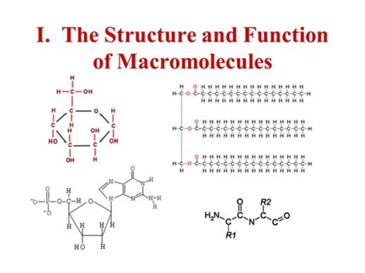 What macromolecule is potato chips?