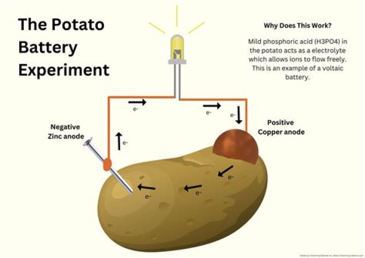 What materials do you need to make a potato battery?