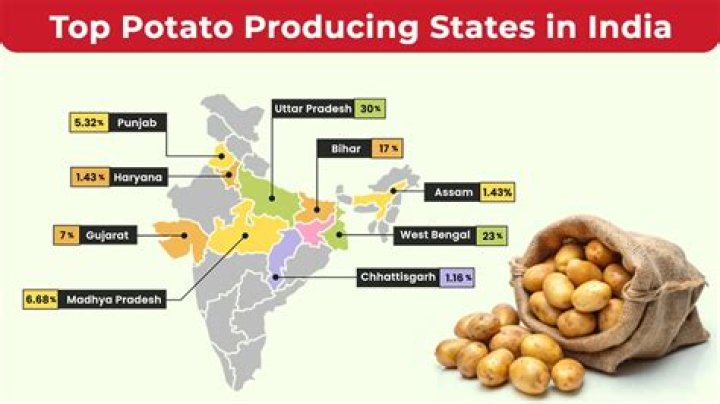 What state produces most of the US potato crop?