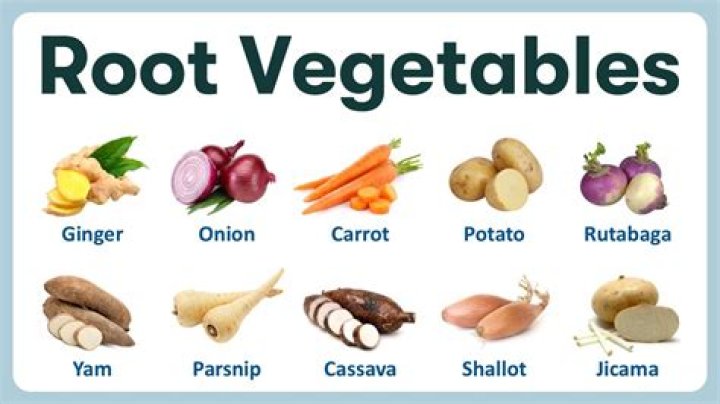 What type of root is potato?