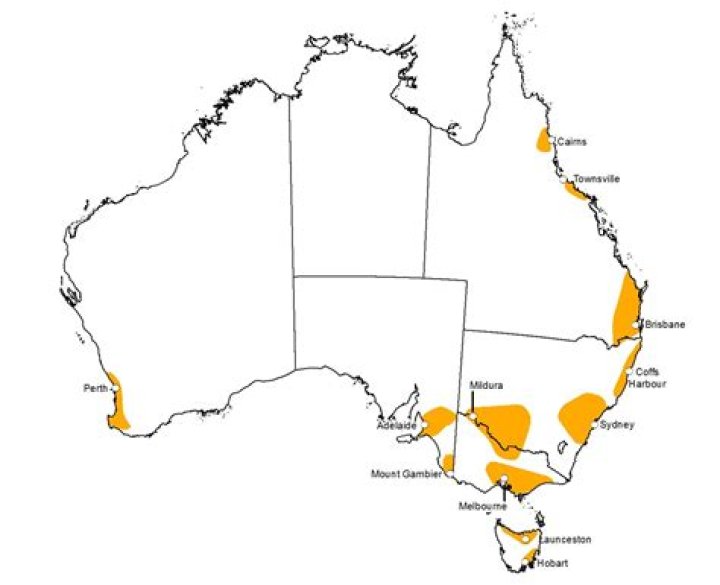 Where does Australia get its potatoes from?
