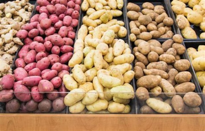 Where is the potato from?