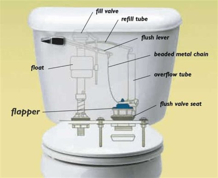 Why does my toilet not flush when I push the flush lever?