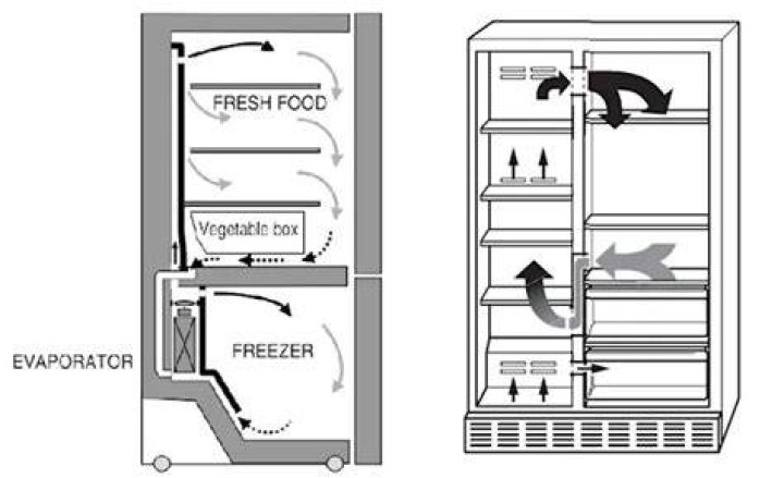 Why is my freezer working but refrigerator is not?