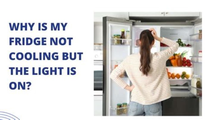 Why is my fridge not cooling but the light is on?