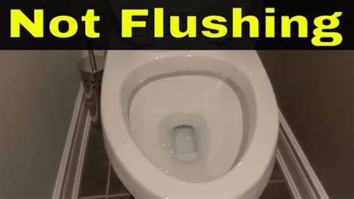 Why is RV toilet not flushing?